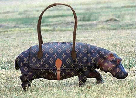 ɰﱬЦͼƬ