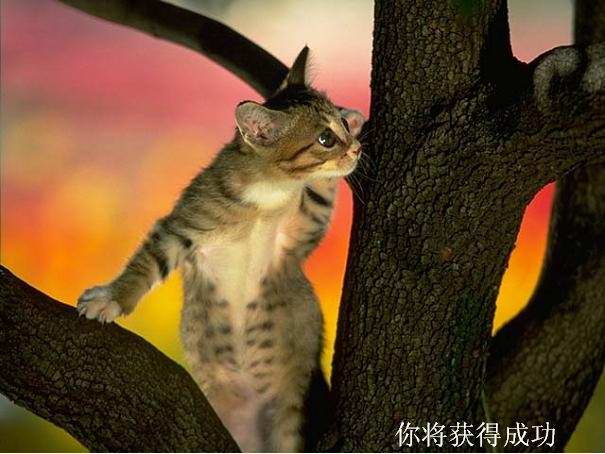 ´ͼƬ