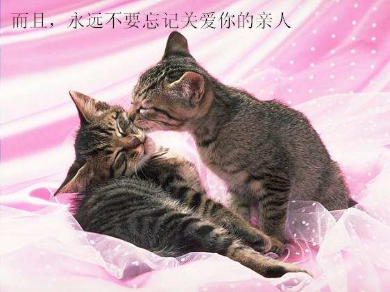 ´ͼƬ